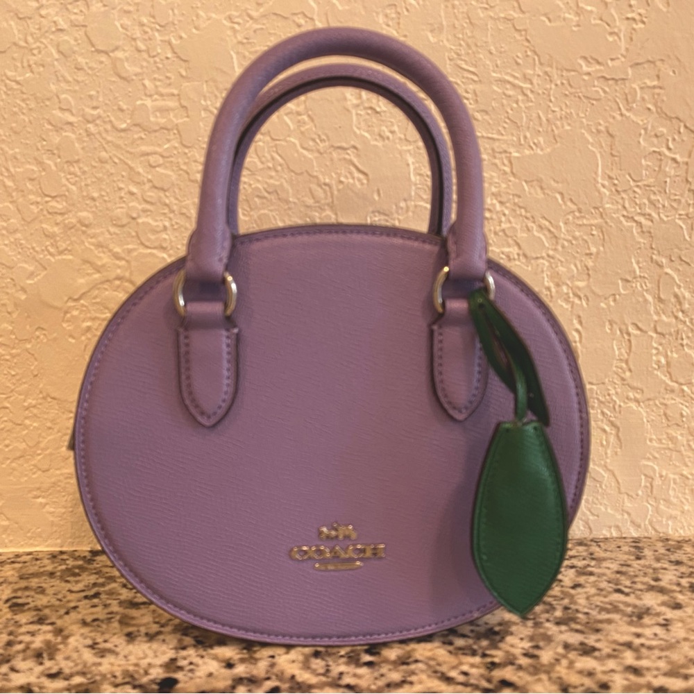 NWOT Adorable Coach CR253 Blueberry Crossbody